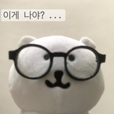 小猫统治宇宙