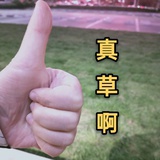 𝘼𝙞𝙠𝙤