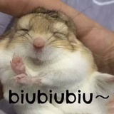 就是静静