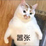 豆友181297768