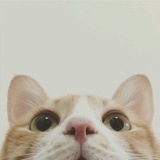 余生皆珍惜