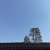 萧言