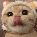 做个梦给你