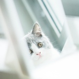 QwQ
