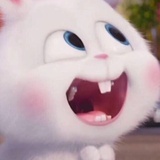 Bob