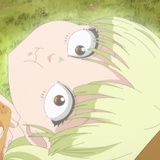 野良
