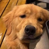 我还好