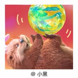 小黑