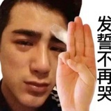 素质网民