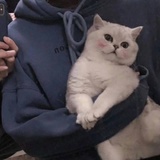 平步青云