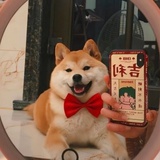 小酱油