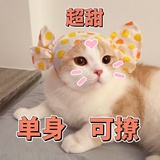 虎背熊腰软妹子