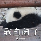 兔兔饼（💪🏻中