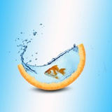 小点