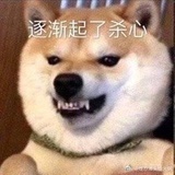 嘻嘻嘻