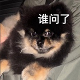 谁问了？
