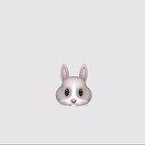 🐰
