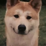 云安