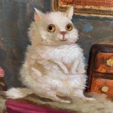 哦