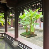 蓝梦