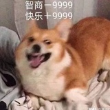 百岁村门卫大爷