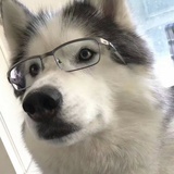 斯文