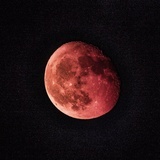 Moonlight