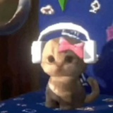 一团猪包