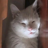 还好呢