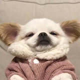 北北北呗