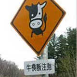 核桃脆鲨枣泥糕