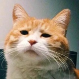 Abi