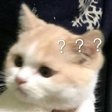 豆友181631214