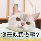 顾北远