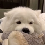 首尔白素贞