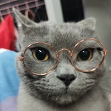 hana*