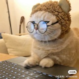 Www.