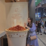 藏好森林ccc