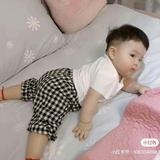 王铁丸
