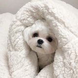 用户9780800412