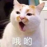 萧瑟是真滴咸
