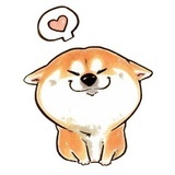 旺财丁