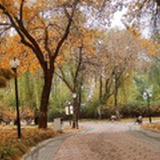 改变从读书开始