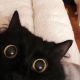 面面面面面