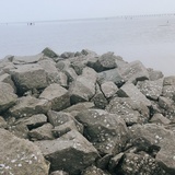 Eric_shan