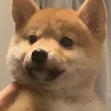 庚辰