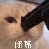 重庆宫脇咲良
