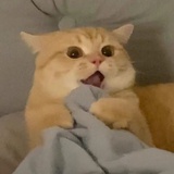 理想之城