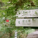遗失的夏