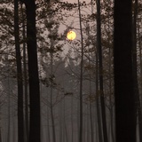 少年雨海